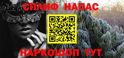 ешки Славгород