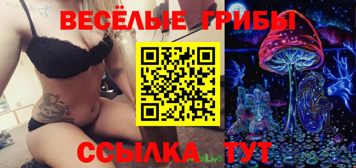 Галлюциногенные грибы Psilocybe Шарыпово